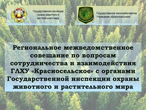 Межведомственное совещание с представителями Минской областной инспекции охраны животного и растительного мира состоялось в ГЛХУ «Красносельское»
