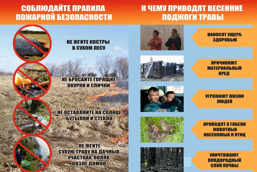 пб2
